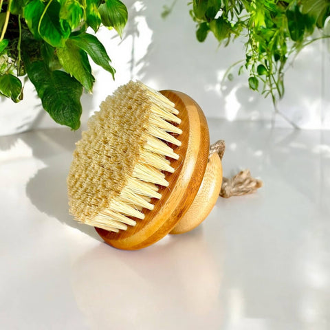 Bamboo Body Dry Brush - Bamboo Switch