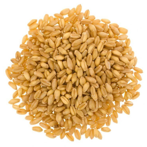 Soft White Wheat Berries: 3 lb - Palouse Brand