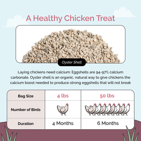 Natural Oyster Shell, Chicken Supplement, 4 lb - Mile Four
