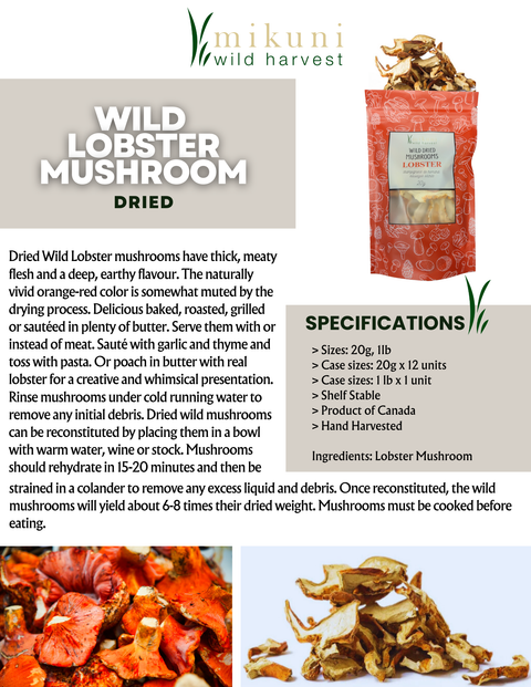 Dried Wild Lobster Mushrooms, 20 g - Mikuni Wild Harvest USA