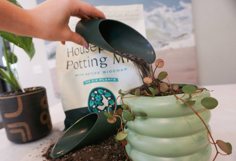 Circle Soil Scoop - Circle Soil