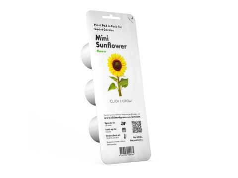 Mini Sunflower Plant Pods, 3-pack - Click and Grow