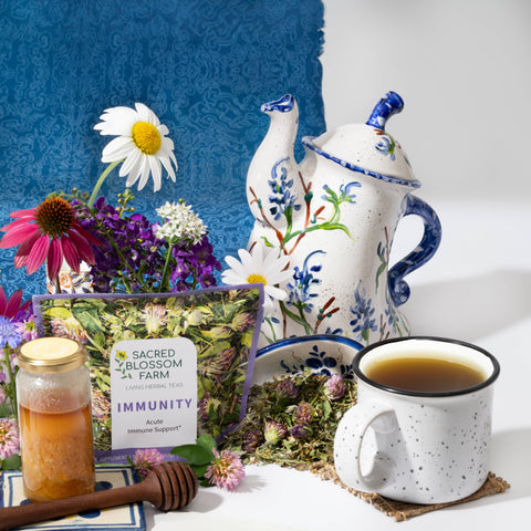 Immunity Herbal Tea, 1.9 oz - Sacred Blossom Farm