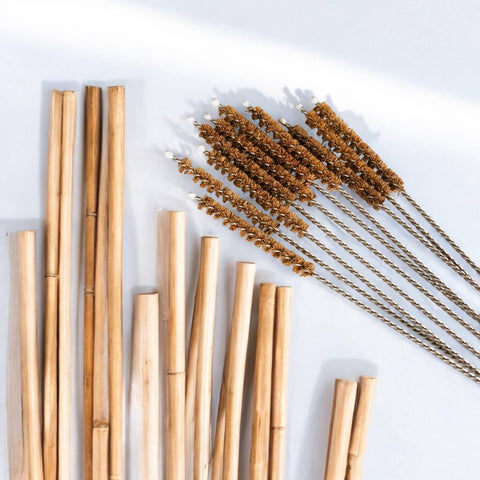 Coconut Fiber Plastic Free Straw Cleaner - Bamboo Switch