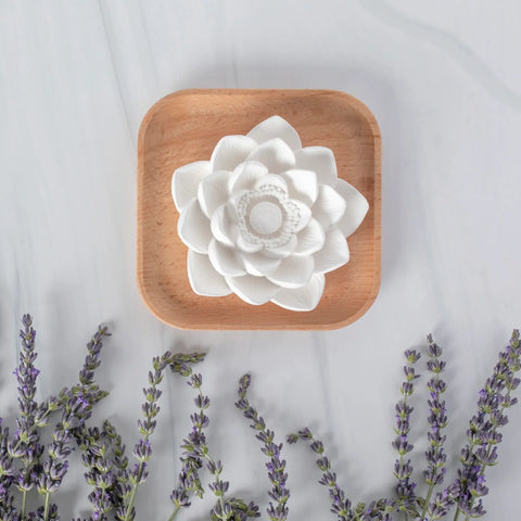 Passive Lotus Diffuser - Plant Therapy