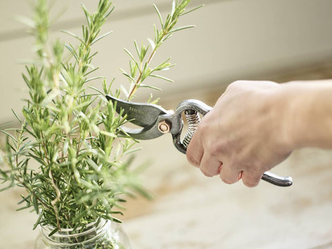Pruner Premium Gardening Tool - Barebones
