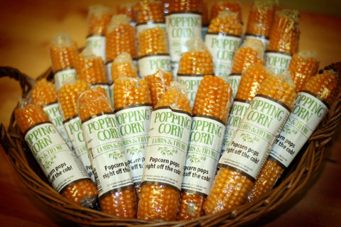 Original Popping Cob - Lambs & Thyme