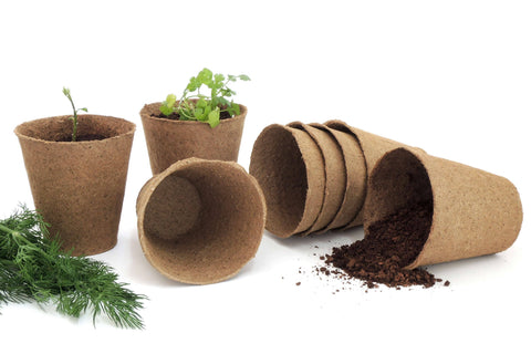 Naked Pots, 4" Plantable Seed Starter Pots, 30 Pc - Daniel's Plants