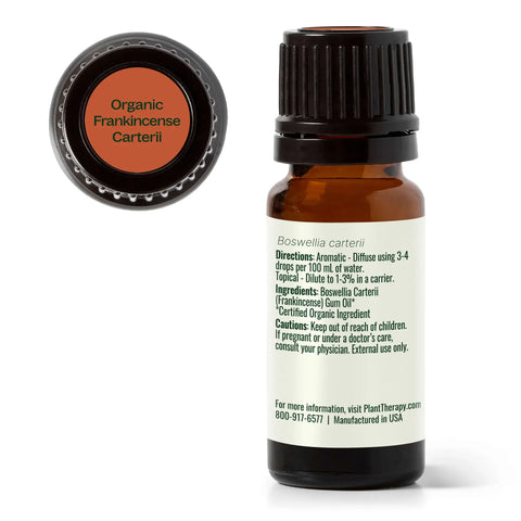 Organic Frankincense Carterii Essential Oil, 10 ml - Plant Therapy