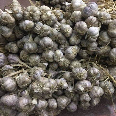 Purple Stripe Garlic, 3.0 oz ,- Burlap & Barrel