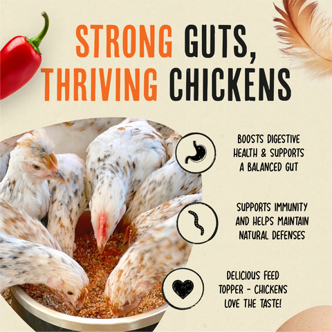 Flock Armor, Daily Chicken Dewormer, 1 lb - Roosty's