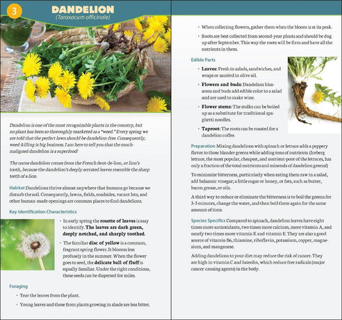 Foraging in North America Quick Guide - AdventureKEEN
