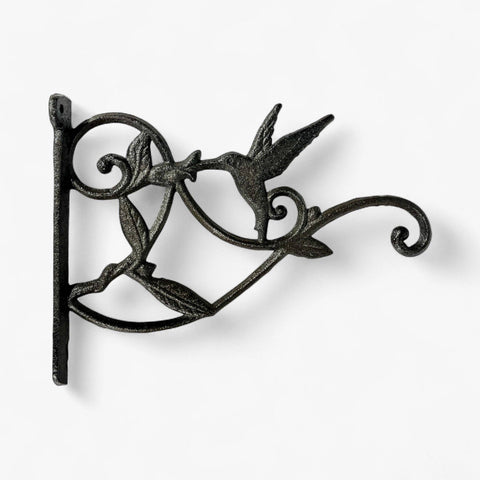 Hummingbird Plant Hanger, Cast Iron Wall Bracket, Natural Iron, 10.25" - Iron & Blossom