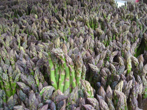 Asparagus, 50 Seeds, Non-GMO - The Rike