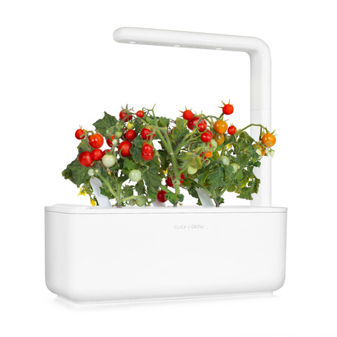 Mini Tomato Plant Pods, 3-pack - Click and Grow