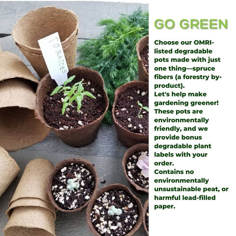 Naked Pots, 4" Plantable Seed Starter Pots, 30 Pc - Daniel's Plants