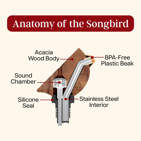 Songbird Specialties® "Singing" Wine Bottle Pourer, Turquoise - Totally Bamboo