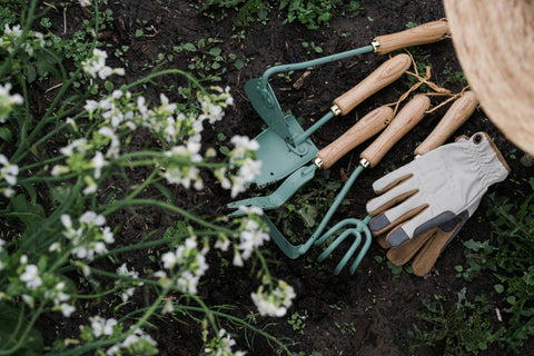 Japanese Weeding Hoe: Walnut/Black, 13" - Barebones