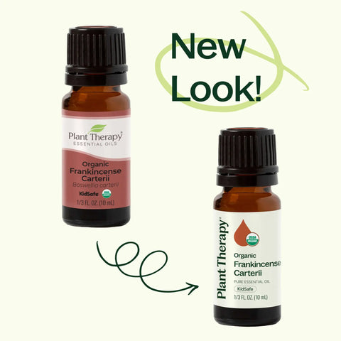 Organic Frankincense Carterii Essential Oil, 10 ml - Plant Therapy