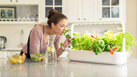 The Smart Garden 9, White, holds 9 Pods - Click and Grow