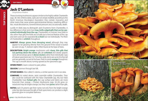 Mushrooms of the Northeast - AdventureKEEN