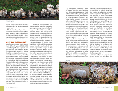 Fruits of the Forest: A Field Guide to PNW Edible Mushrooms - Mountaineers Books