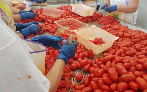 Spaccatelle, Italian Hand-Split Tomatoes, 19 oz - Masseria Mirogallo