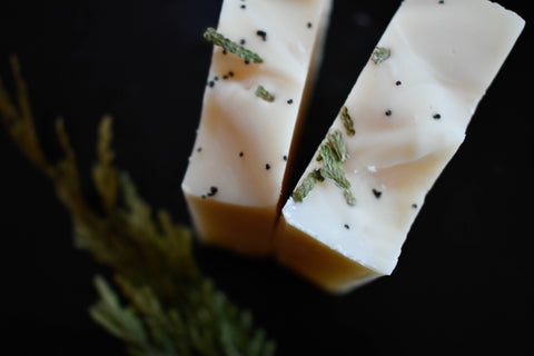 Citrus & Juniper - Olive Oil Soap - Orange Thyme Bath Apothecary