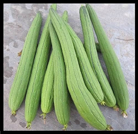 Luffa Sponge Gourd, Ghosaval Loofa Seeds - The Rike