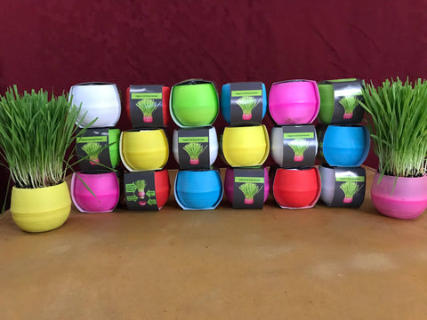 Cat Grass Garden Ball, Green - Mom’s Indoor Cat