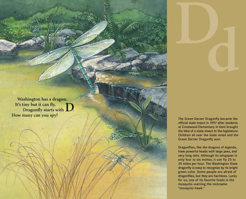 E is for Evergreen: A Washington Alphabet Picture Book - Sleeping Bear Press