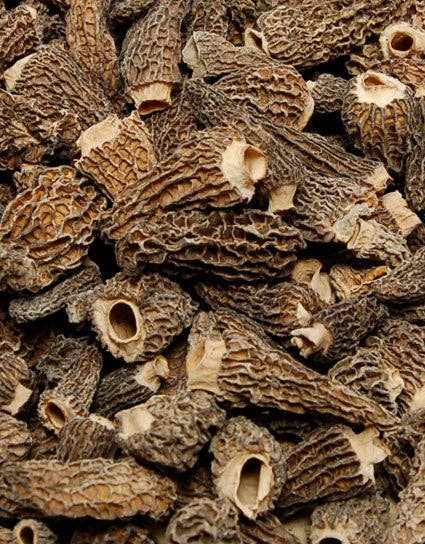 Dried Morel Mushrooms: .9 oz/25 g tube - Wine Forest Ltd.