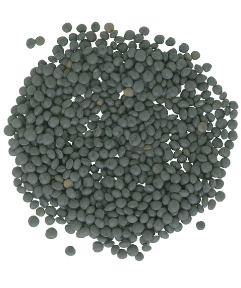 Black Beluga Lentils: 4lb - Palouse Brand