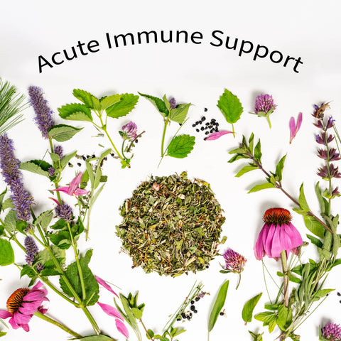 Immunity Herbal Tea, 1.9 oz - Sacred Blossom Farm