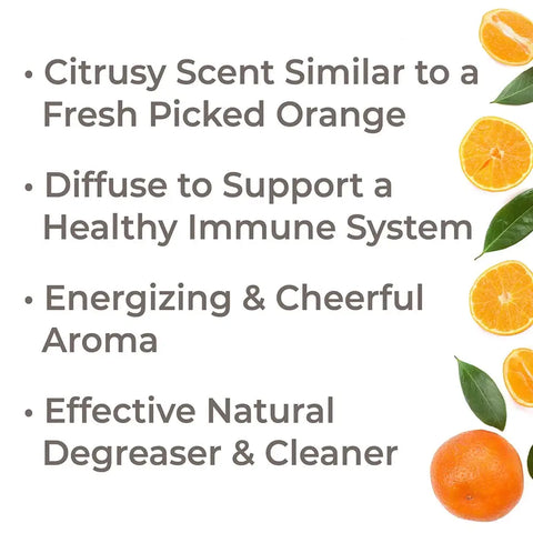 Organic Sweet Orange Essential Oil, 10 ml - Plant Therapy