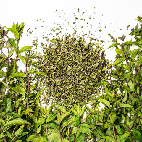 Chocolate Peppermint Herbal Tea, 1.4 oz - Sacred Blossom Farm