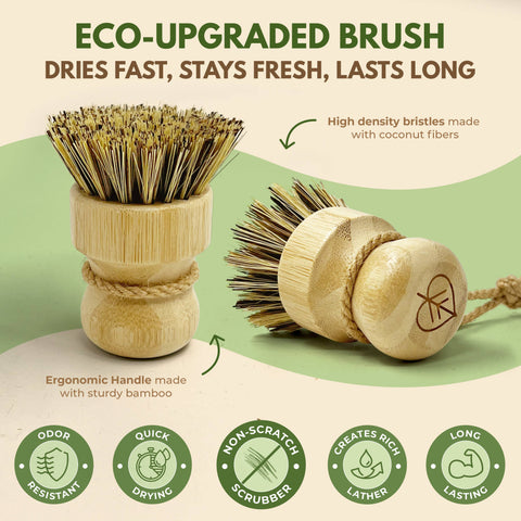 Natural Cleaning Dish Brush, Bamboo w/Coconut Bristles - Airnex