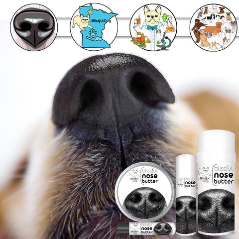 Nose Butter for Rough, Dry Dog Noses in Tins & Tubes: 1oz tin - The Blissful Dog
