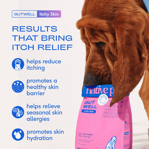 Native Pet GutWell Itchy Skin, Anti Itch Supplement for Dogs, 12.7 oz - Native Pet