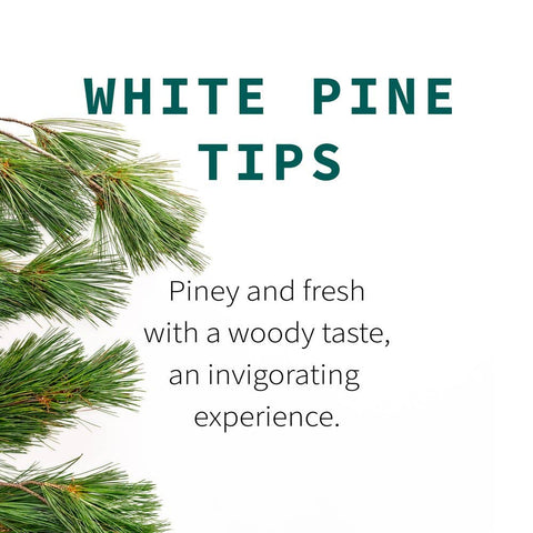 White Pine Tips (Pinus strobus), 6.0 oz - Sacred Blossom Farm