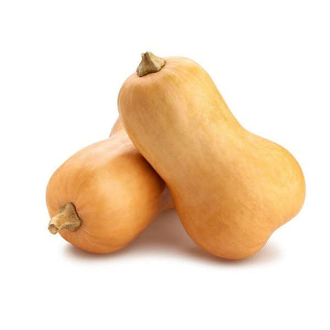 Butternut Squash, 90 Seeds, Non-GMO - The Rike