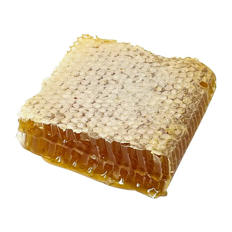 Raw and Unfiltered Cut Honeycomb, 7oz-8oz - Uncommon Bees