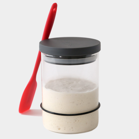 Sourdough Starter Kit - Breadtopia