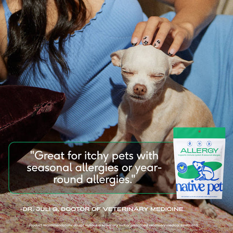Allergy & Immune Chews, an Allergy & Itch Relief Supplement for Dogs: 30ct - Native Pet