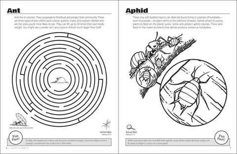 Beautiful Bugs Activity Book - AdventureKEEN