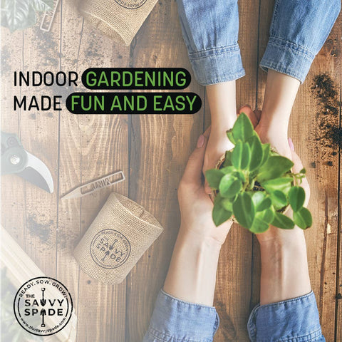 Herb Garden Starter Kit - The Savvy Spade