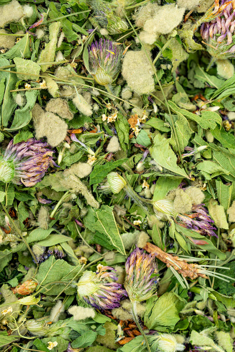 Breathe Herbal Tea, 1.5 oz - Sacred Blossom Farm