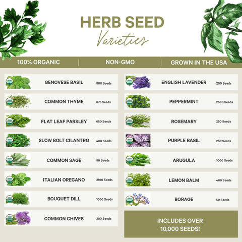 Organic Herb Seeds - Non-GMO - Spade To Fork