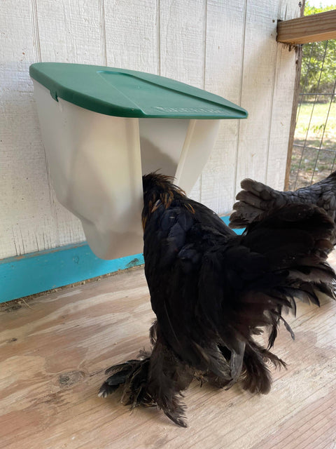 Chicken VFeedr No Waste Hanging Poultry Feeder, 5 lb capacity - My Favorite Chicken