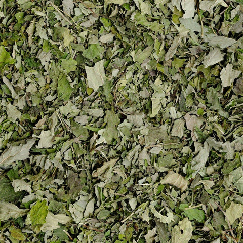 Lemon Balm (Melissa officinalis), 4.9 oz - Sacred Blossom Farm